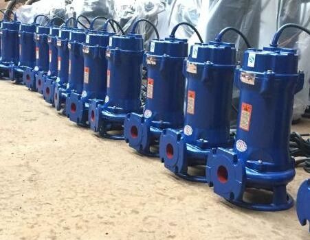 500QW2200-10-110水産養殖の浸水許容の下水ポンプ